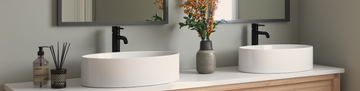 Vessel Sinks