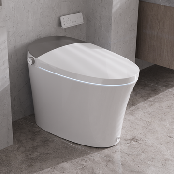 DeerValley Tankless Smart Toilet,Off-seat Auto Flush,Foot Kick Flush,Night Light,Modern Elongated Toilet with Warm Water,DV-1S0150/DV-1S0150-V3