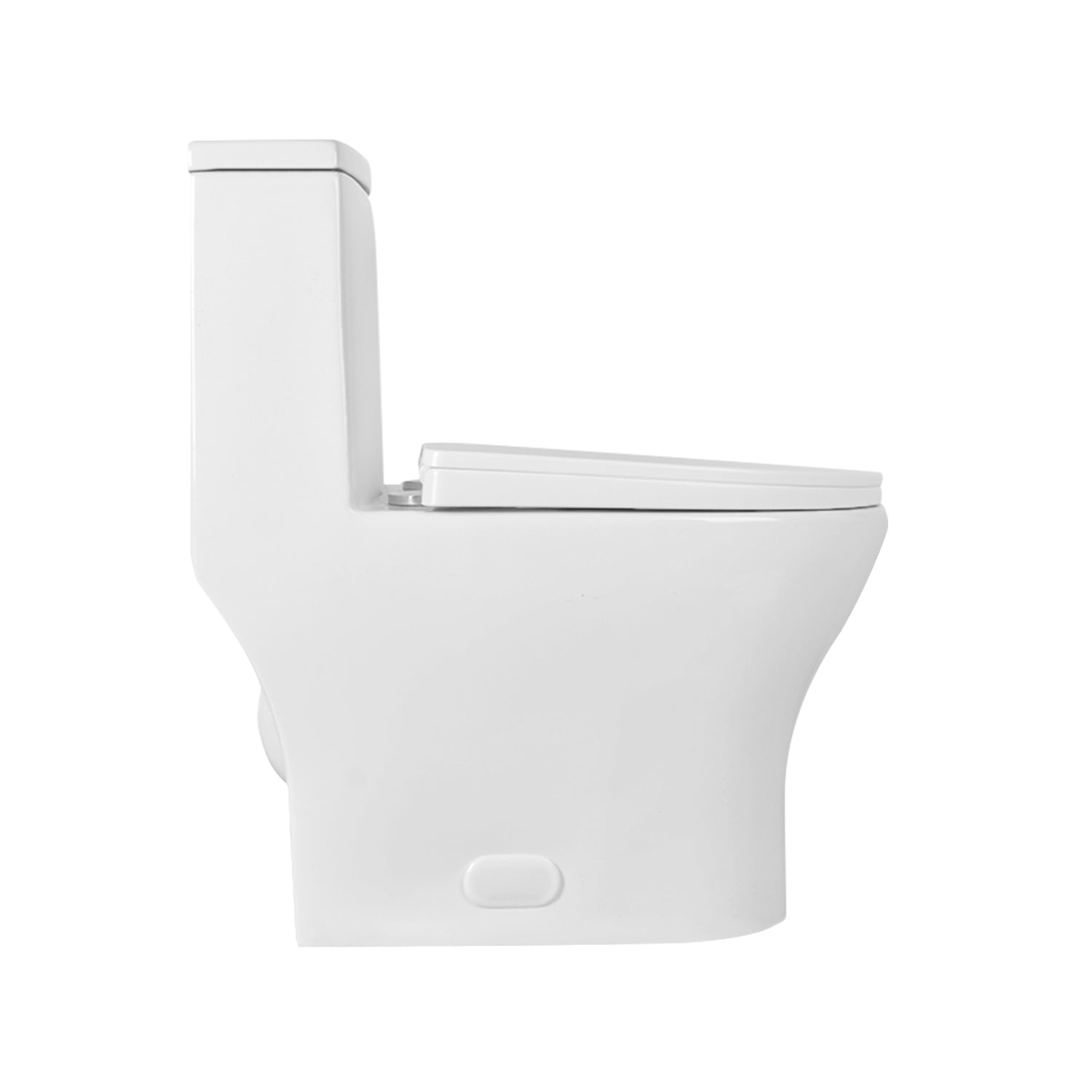 ALLY One-Piece Elongated Toilet, 12" Rough-in Dual-Flush