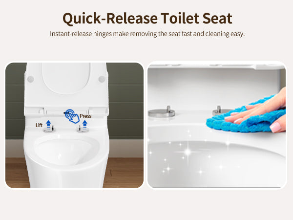 One-piece Toilets Function