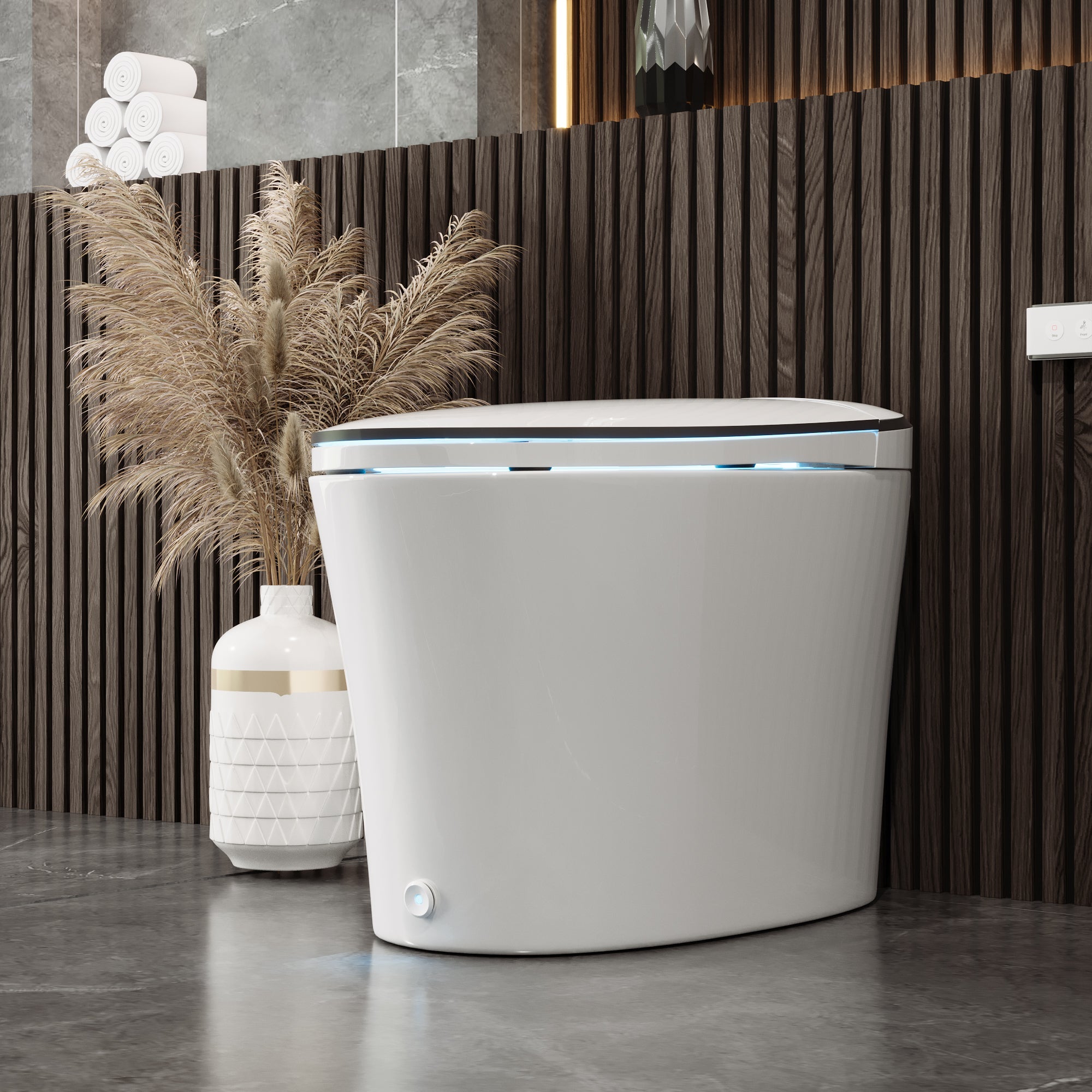 DeerValley DV-1S0019-V3 Premium Tankless Elongated Smart Bidet Toile, Quiet-Closed Heated Seat Sensor Auto, Foot Kick & Blackout Flush, Warm Wash, Night Light