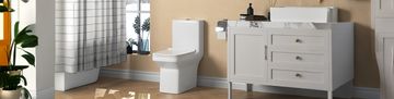 One-Piece Toilets