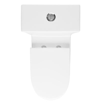 One-Piece Elongated Toilet, Dual-Flush Glazed Surface with Multiple Types