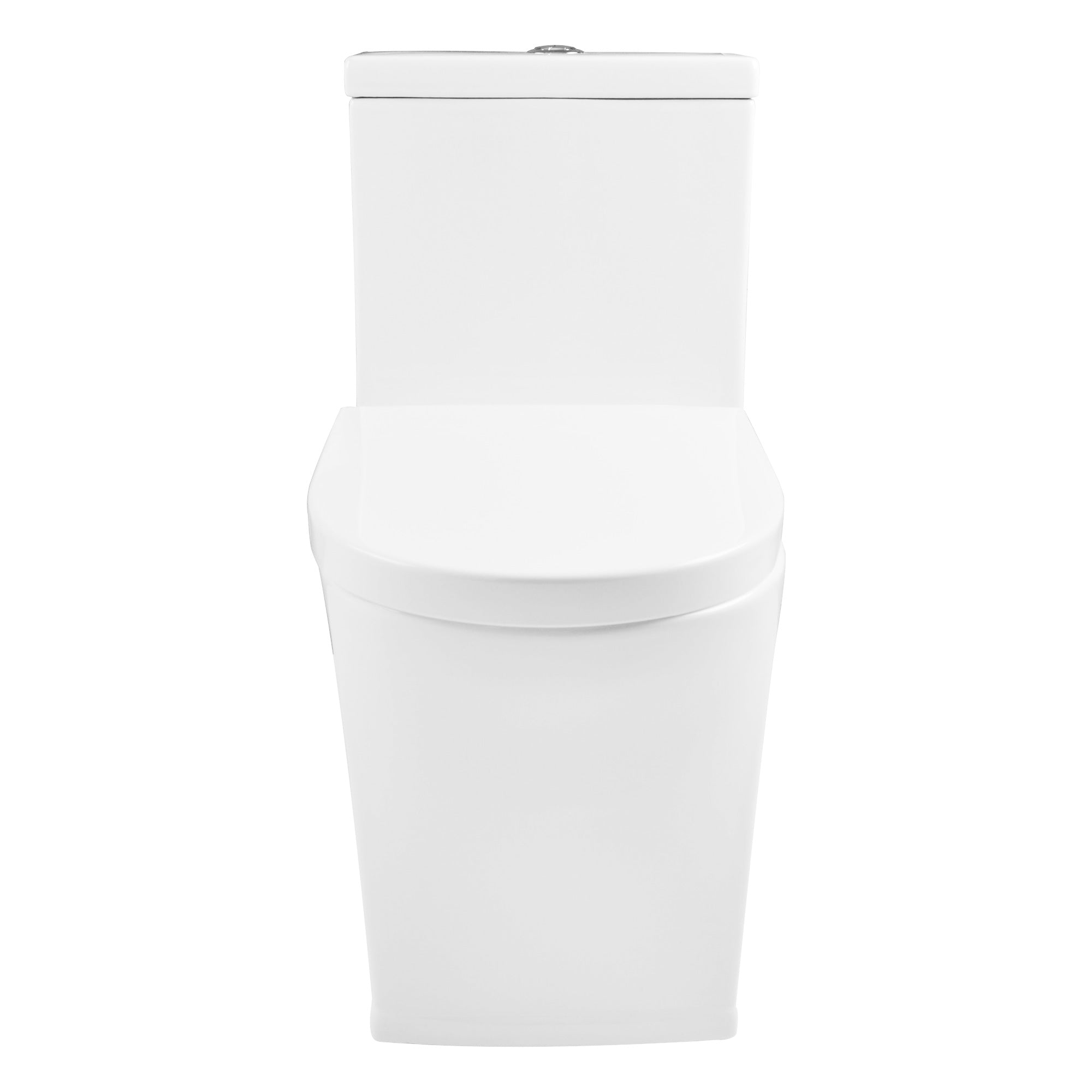 One-Piece Elongated Toilet, Dual-Flush Glazed Surface with Multiple Types