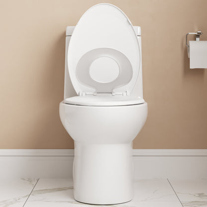 ALLY One-Piece Elongated Toilet, 1.1/1.6GPF Dual-Flush  with Multiple Colors