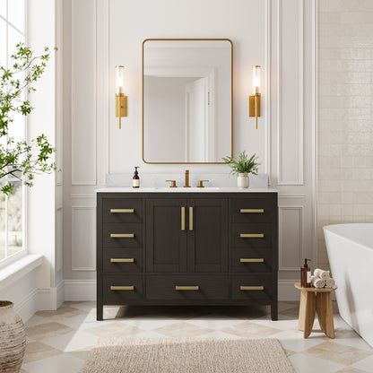 DeerValley DV-1BV0156BO03 Bathroom Vanity, Fully Assembled & 9-Drawer Storage