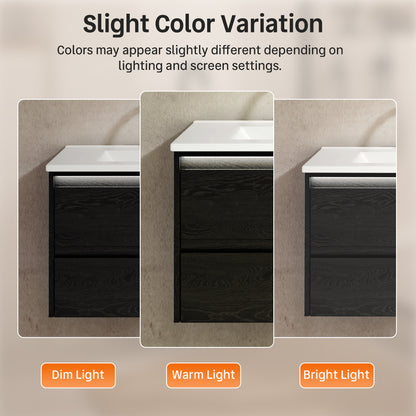 DeerValley DV-1BV0601B Shaker Bathroom Vanity, Integrated Sink & Space-Saving