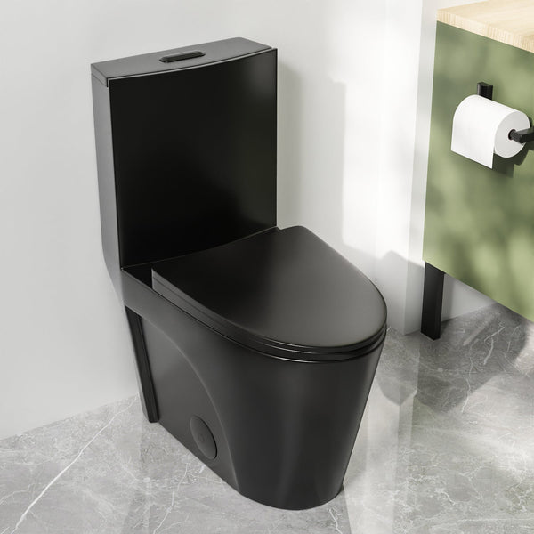 DeerValley DV-1F0027 Ace 1.6 GPF Dual-Flush Elongated One-Piece Toilet (Seat Included)