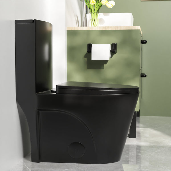 DeerValley DV-1F0027 Ace 1.6 GPF Dual-Flush Elongated One-Piece Toilet (Seat Included)