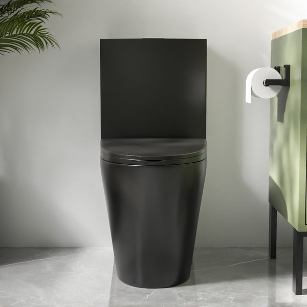 DeerValley DV-1F0027 Ace 1.6 GPF Dual-Flush Elongated One-Piece Toilet (Seat Included)