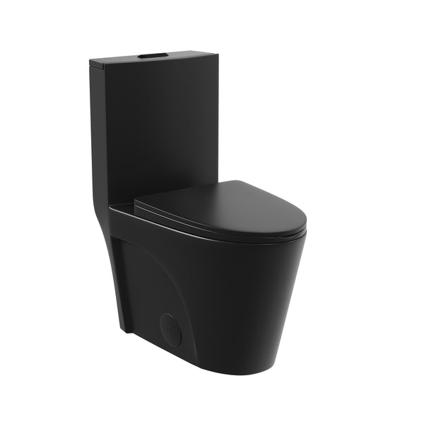 DeerValley DV-1F0027 Ace 1.6 GPF Dual-Flush Elongated One-Piece Toilet (Seat Included)