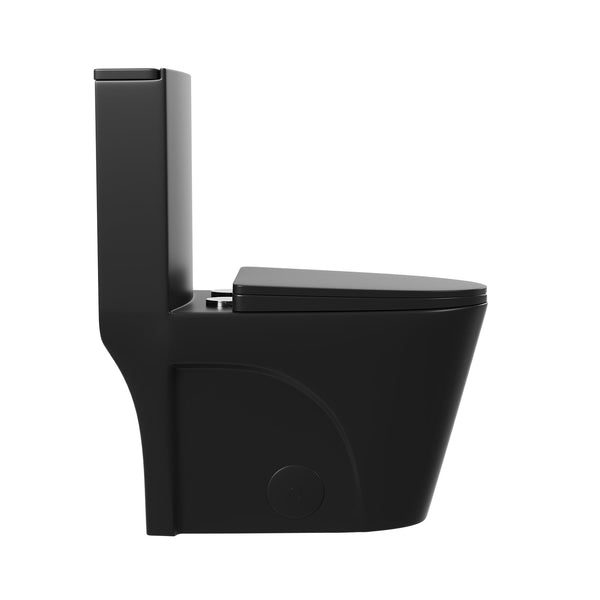 DeerValley DV-1F0027 Ace 1.6 GPF Dual-Flush Elongated One-Piece Toilet (Seat Included)