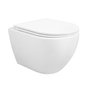 DeerValley Bath LIBERTY Wall-Hung Elongated Toilet, 1.1/1.6GPF Siphon Flushing with Multiple Colors Toilet