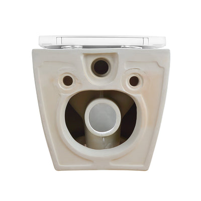 Wall-Hung Toilets Product Details