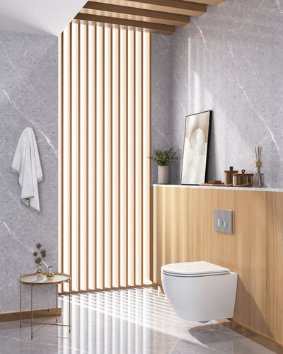 Wall-Hung Toilets Best Toilet Top Rated Toilets