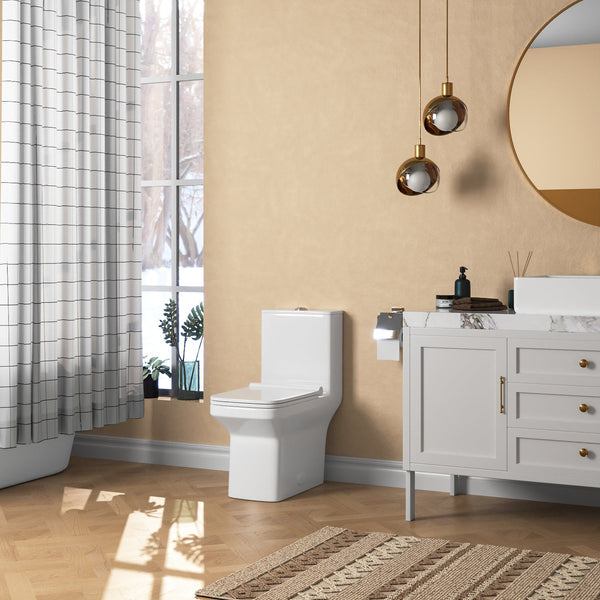 DeerValley DV-1F0071 Ace Dual-Flush Square/Rectangular Floor Mounted One-Piece Toilet (Seat Included)