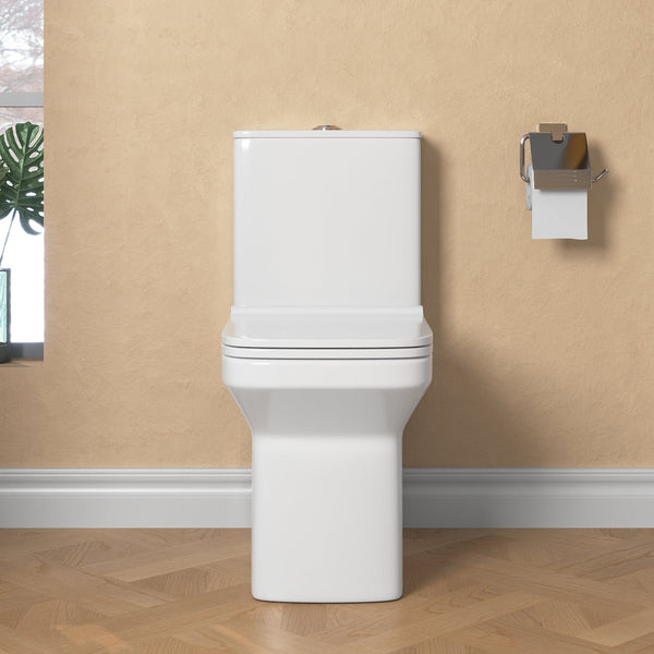 DeerValley DV-1F0071 Ace Dual-Flush Square/Rectangular Floor Mounted One-Piece Toilet (Seat Included)