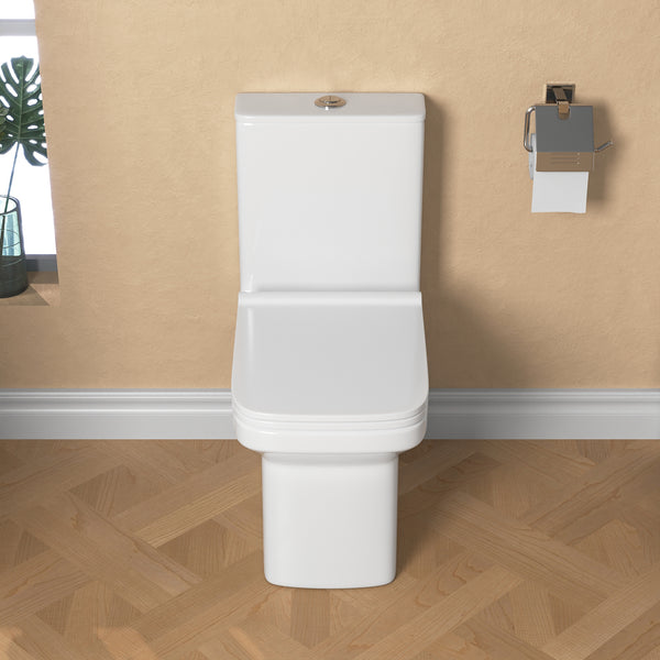 DeerValley DV-1F0071 Ace Dual-Flush Square/Rectangular Floor Mounted One-Piece Toilet (Seat Included)