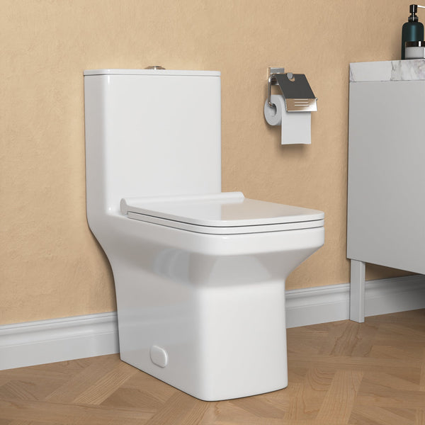 DeerValley DV-1F0071 Ace Dual-Flush Square/Rectangular Floor Mounted One-Piece Toilet (Seat Included)