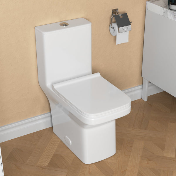 DeerValley DV-1F0071 Ace Dual-Flush Square/Rectangular Floor Mounted One-Piece Toilet (Seat Included)