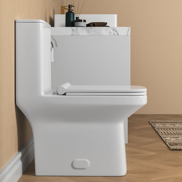 DeerValley DV-1F0071 Ace Dual-Flush Square/Rectangular Floor Mounted One-Piece Toilet (Seat Included)