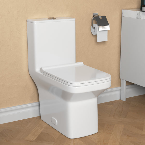 DeerValley DV-1F0071 Ace Dual-Flush Square/Rectangular Floor Mounted One-Piece Toilet (Seat Included)