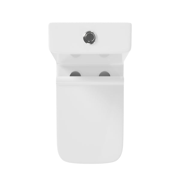 DV-1F0071 Ace Square/Rectangular One-Piece Toilet, 12" Rough-in Dual-Flush