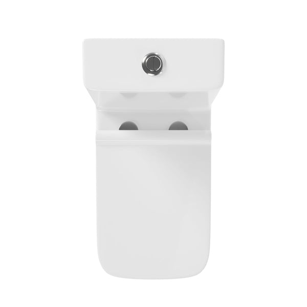 DeerValley DV-1F0071 Ace Dual-Flush Square/Rectangular Floor Mounted One-Piece Toilet (Seat Included)