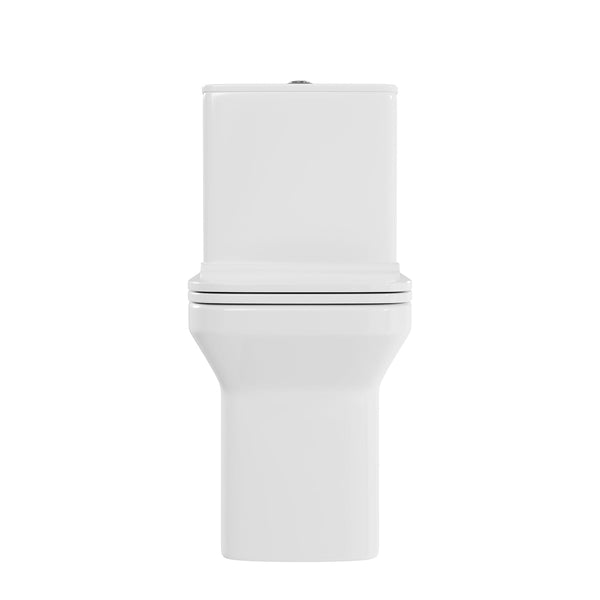 DeerValley DV-1F0071 Ace Dual-Flush Square/Rectangular Floor Mounted One-Piece Toilet (Seat Included)