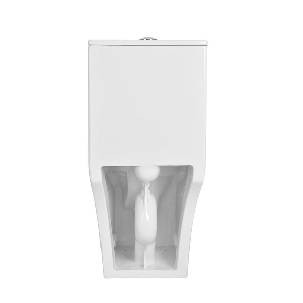 DeerValley DV-1F0071 Ace Dual-Flush Square/Rectangular Floor Mounted One-Piece Toilet (Seat Included)
