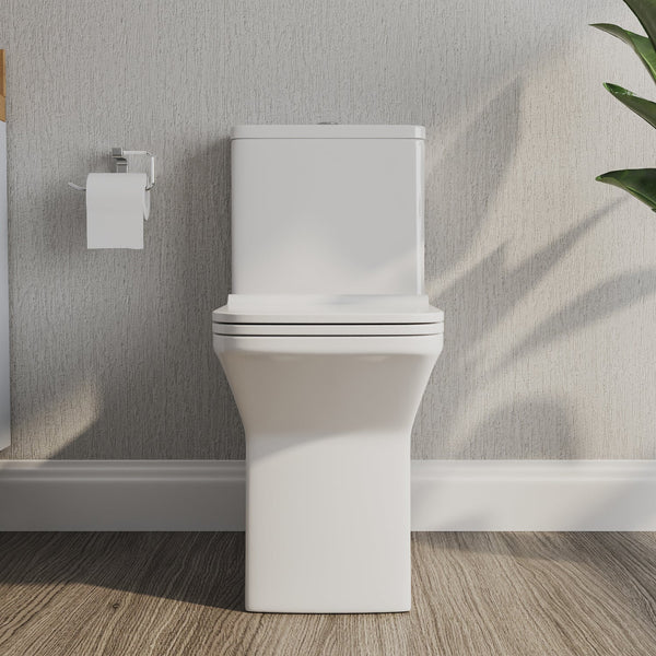DeerValley DV-1F0072 Ace Dual-Flush Square/Rectangular Floor Mounted One-Piece Toilet (Seat Included)