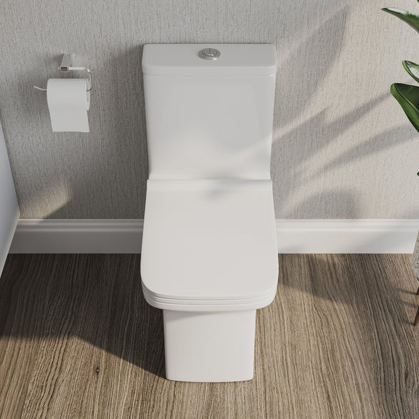 DeerValley DV-1F0072 Ace Dual-Flush Square/Rectangular Floor Mounted One-Piece Toilet (Seat Included)