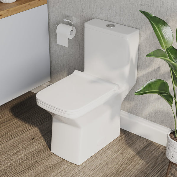 DeerValley DV-1F0072 Ace Dual-Flush Square/Rectangular Floor Mounted One-Piece Toilet (Seat Included)