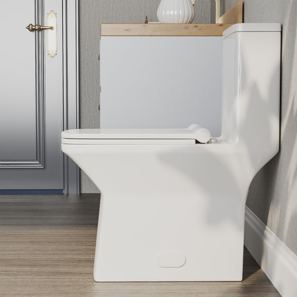 ACE One-Piece Square Toilet, 12" Rough-in Dual-Flush