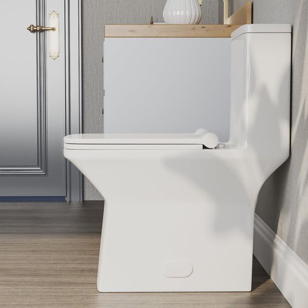 DeerValley DV-1F0072 Ace Dual-Flush Square/Rectangular Floor Mounted One-Piece Toilet (Seat Included)
