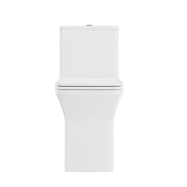 DeerValley DV-1F0072 Ace Dual-Flush Square/Rectangular Floor Mounted One-Piece Toilet (Seat Included)