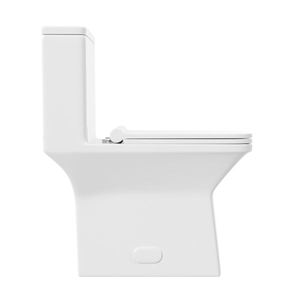 DeerValley DV-1F0072 Ace Dual-Flush Square/Rectangular Floor Mounted One-Piece Toilet (Seat Included)