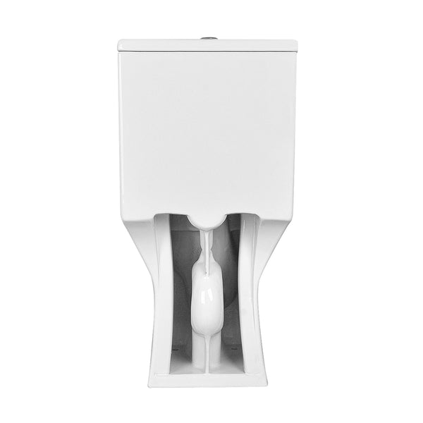 DeerValley DV-1F0072 Ace Dual-Flush Square/Rectangular Floor Mounted One-Piece Toilet (Seat Included)