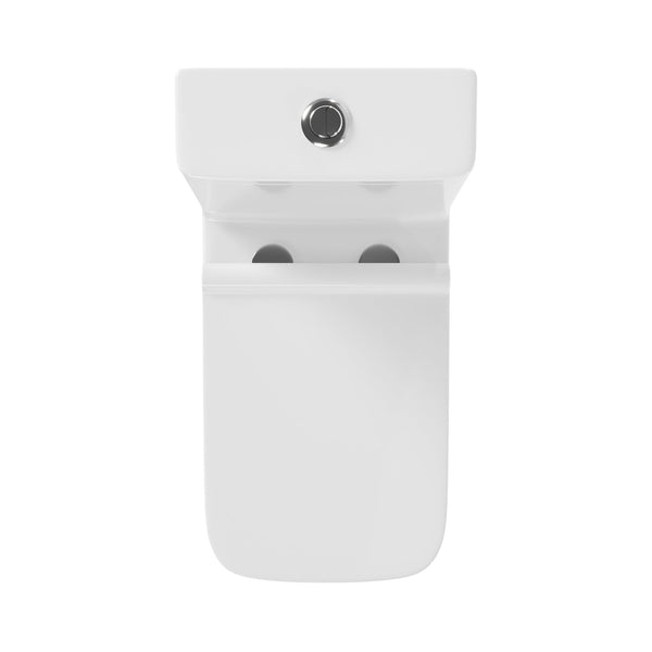 DeerValley DV-1F0072 Ace Dual-Flush Square/Rectangular Floor Mounted One-Piece Toilet (Seat Included)