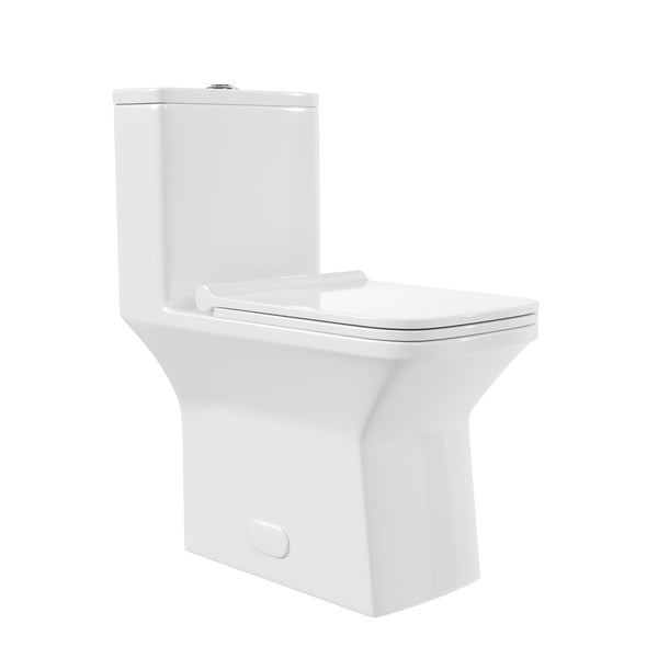 DeerValley DV-1F0072 Ace Dual-Flush Square/Rectangular Floor Mounted One-Piece Toilet (Seat Included)
