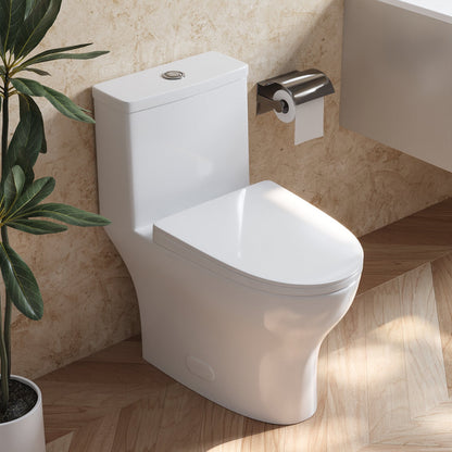 ALLY One-Piece Elongated Toilet, 12" Rough-in Dual-Flush