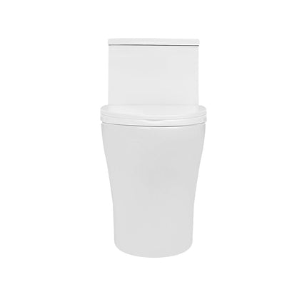 ALLY One-Piece Elongated Toilet, 12" Rough-in Dual-Flush