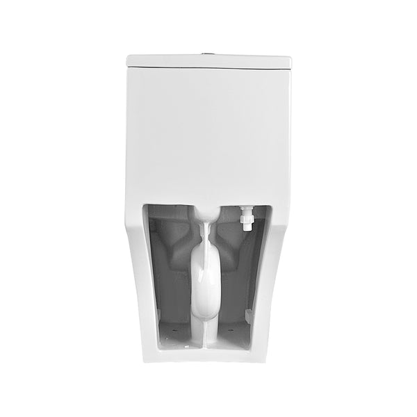 ALLY One-Piece Elongated Toilet, 12" Rough-in Dual-Flush