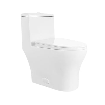 ALLY One-Piece Elongated Toilet, 12" Rough-in Dual-Flush