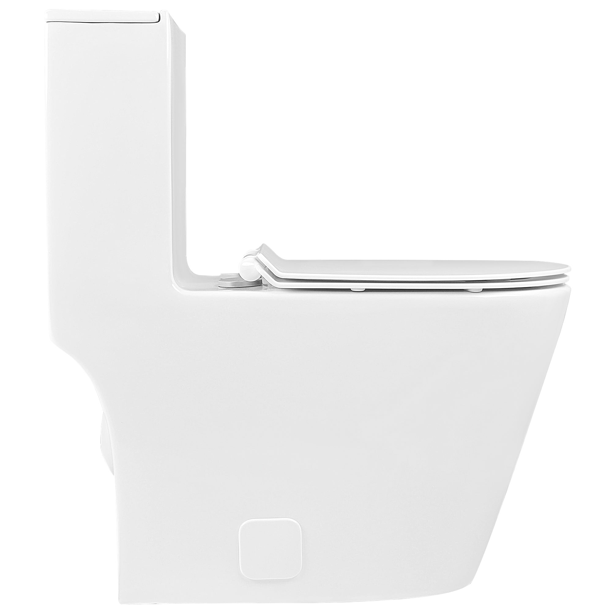 One-Piece Elongated Toilet, 1.19/0.85 GPF Dual-Flush