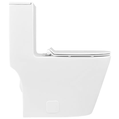 One-Piece Elongated Toilet, 1.19/0.85 GPF Dual-Flush