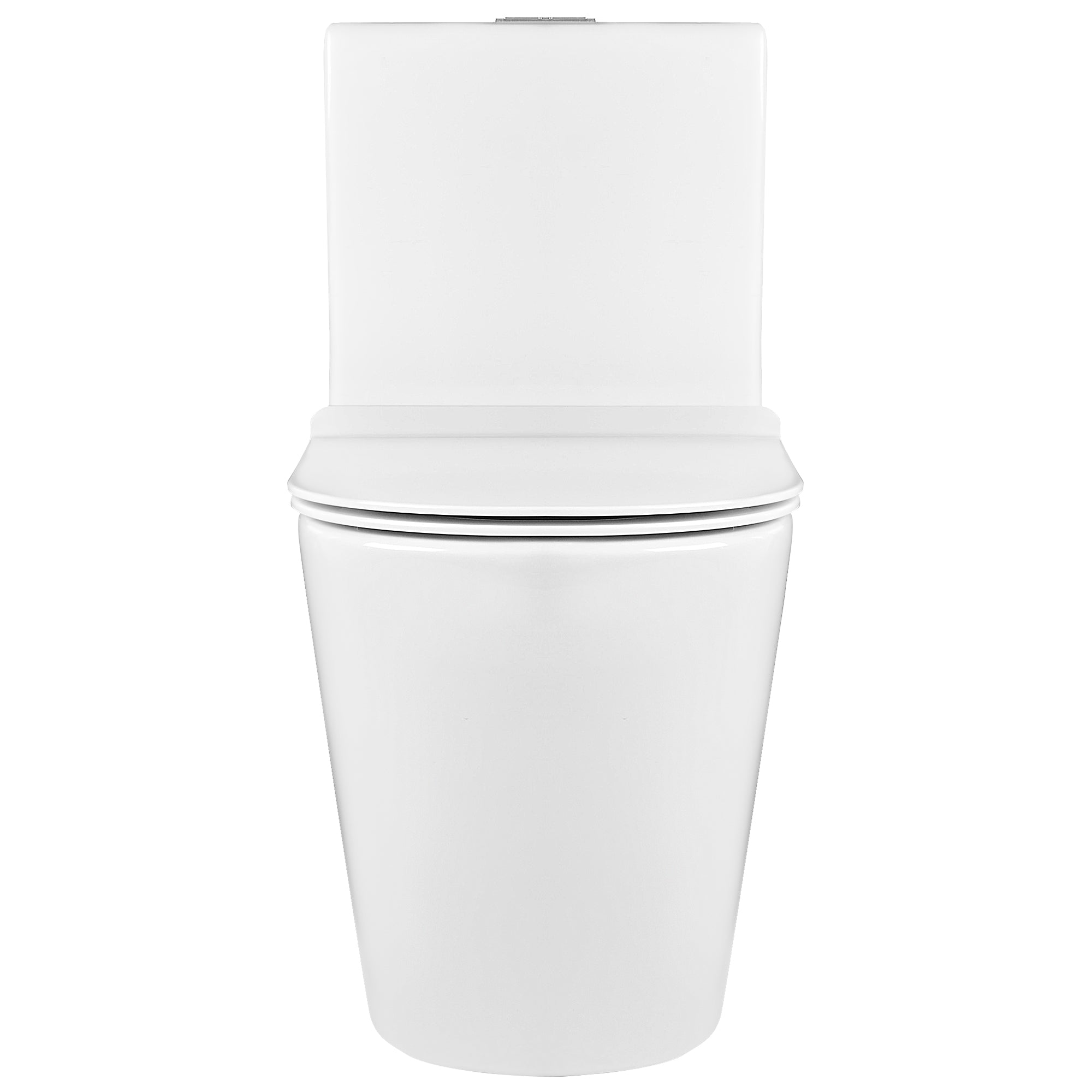 One-Piece Elongated Toilet, 1.19/0.85 GPF Dual-Flush