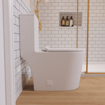 One-Piece Elongated Toilet, 1.19/0.85 GPF Dual-Flush