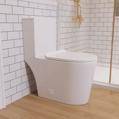 One-Piece Elongated Toilet, 1.19/0.85 GPF Dual-Flush