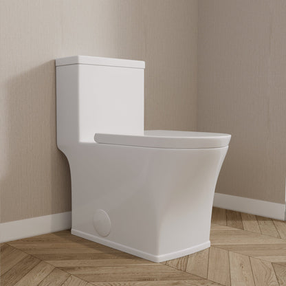 One-Piece Elongated Toilet, Dual-Flush Glazed Surface with Multiple Types